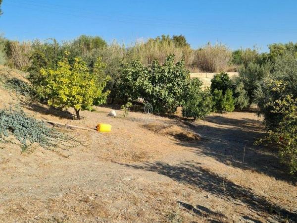 3 bedroom detached house for sale moni limassol 979898 image 9395935