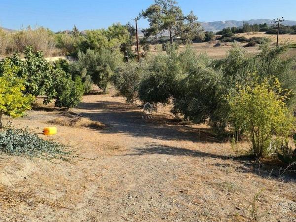 3 bedroom detached house for sale moni limassol 979898 image 9395940
