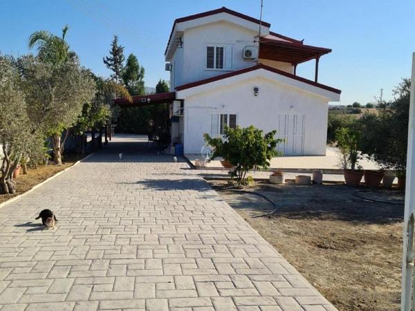 3 bedroom detached house for sale moni limassol 979898 image 9395956