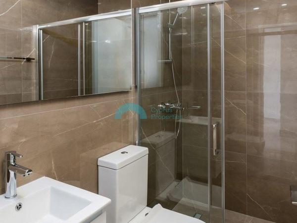 3 bedroom penthouse for sale linopetra limassol 912898 image 5405238