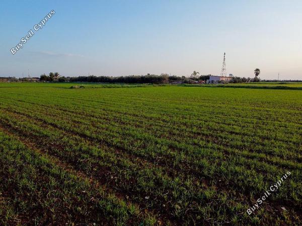 land for sale xylofagou larnaca 1657898 image 15864993