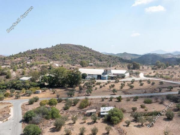 studio warehouse for sale agia varvara nicosias nicosia 8145898 image 13426757