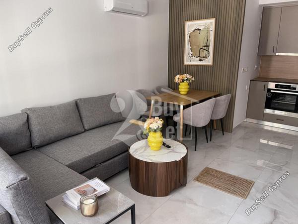 1 bedroom apartment for rent larnaca municipality larnaca 8399998 image 15860722