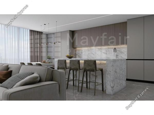4 bedroom detached house for sale parekklisia limassol 7872998 image 11388481