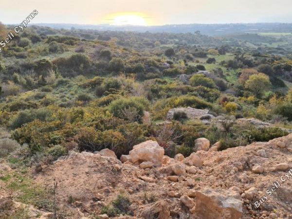 land for sale tremithousa paphos 7452998 image 9239450