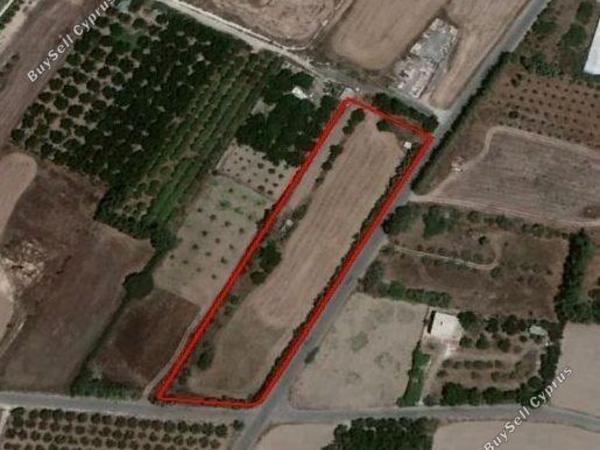 plot for sale geroskipou paphos 1680998 image 4371922