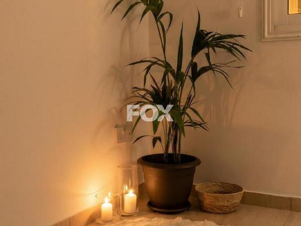 2 bedroom apartment for sale geroskipou paphos 7592009 image 11402143