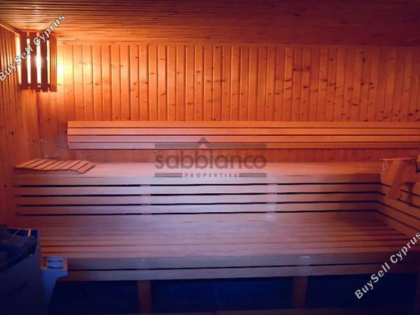 5 bedroom detached house for rent kato lakatamia nicosia 8741009 image 16388429