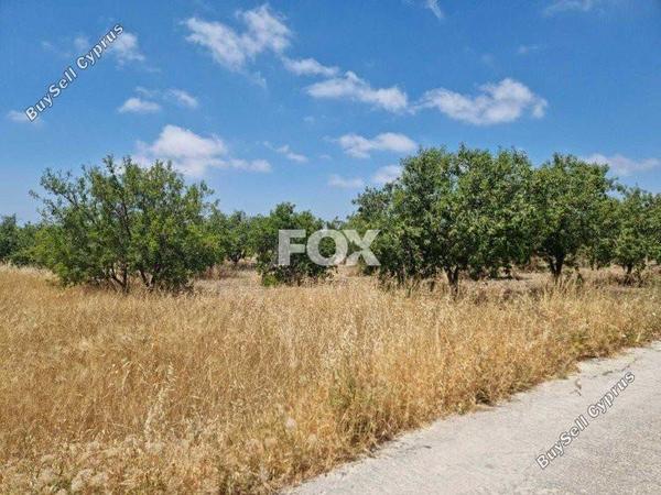 land for sale konia paphos 1160009 image 5534813