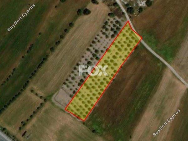 land for sale konia paphos 1160009 image 5534822
