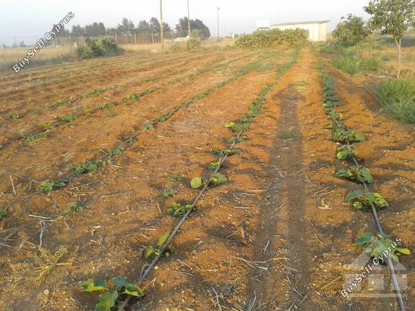 4 bedroom bungalow for sale xylotymvou larnaca 7993109 image 16532834