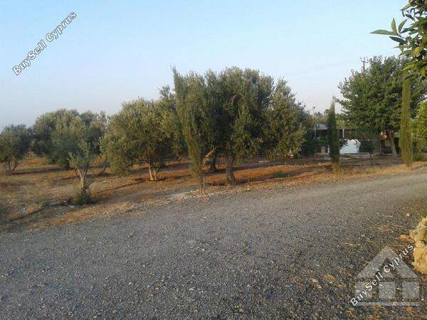 4 bedroom bungalow for sale xylotymvou larnaca 7993109 image 16807846