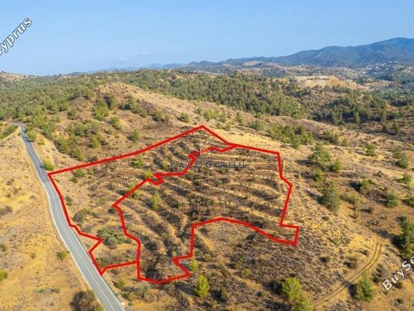 land for sale agia marina xyliatou nicosia 8255109 image 16301202