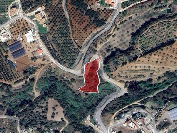 land for sale argaka paphos 1279109 image 15599403