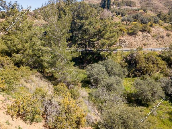 land for sale argaka paphos 1279109 image 15599405