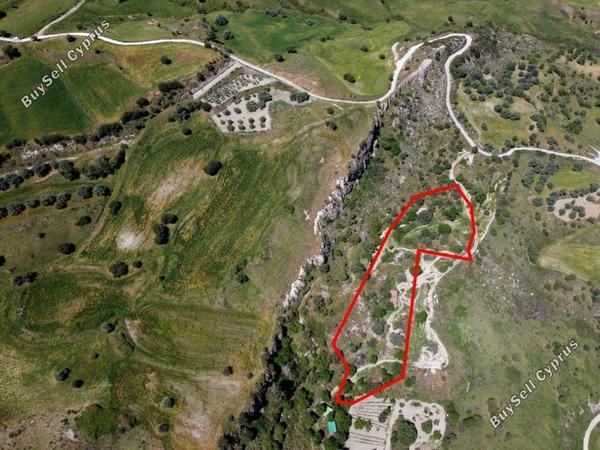 land for sale lasa paphos 1898109 image 14211902