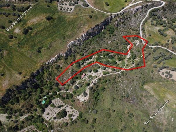 land for sale lasa paphos 1898109 image 14211904