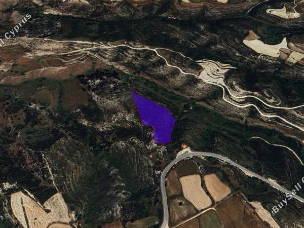 land for sale peyia paphos 1354109 image 5595694
