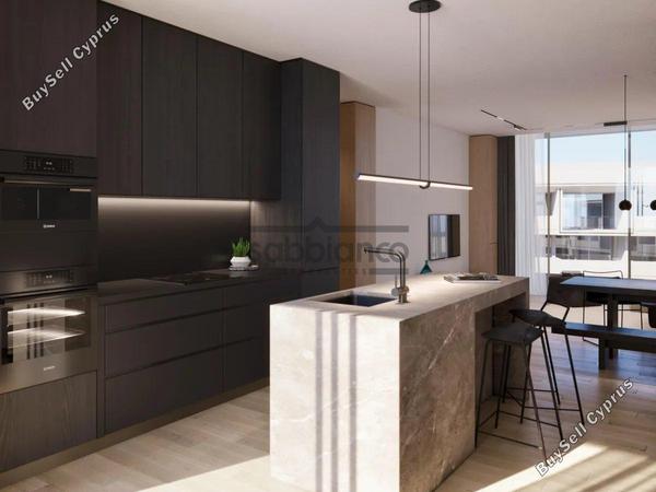 1 bedroom apartment for sale tombs of the kings paphos 8752209 image 16499790