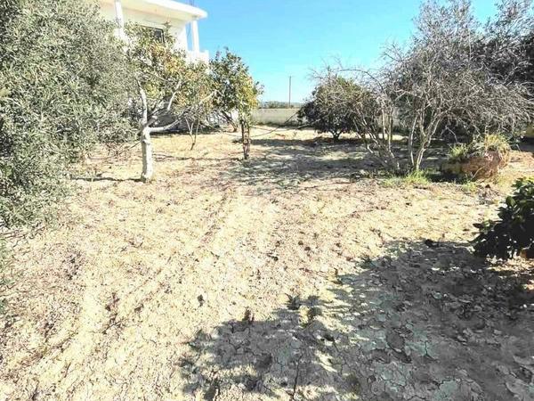 5 bedroom detached house for sale anafotida larnaca 1648209 image 13144894