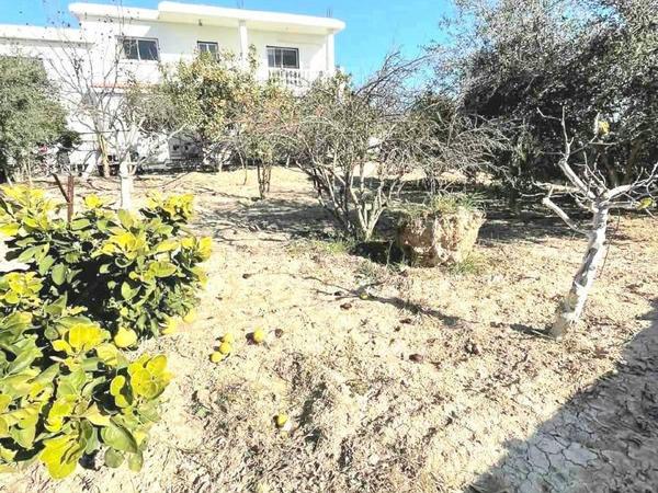 5 bedroom detached house for sale anafotida larnaca 1648209 image 13144896