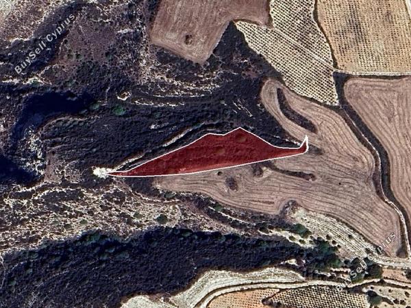 land for sale akoursos paphos 1714209 image 16992306