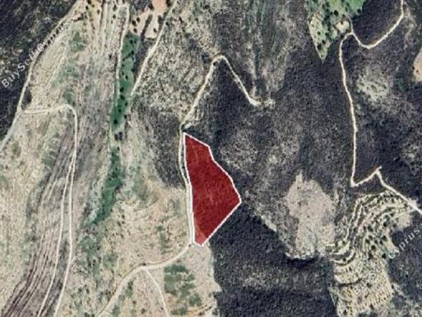 land for sale laneia limassol 1838209 image 16295410