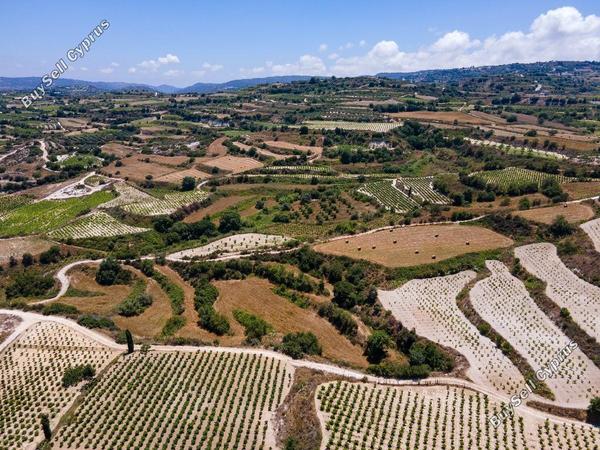 land for sale polemi paphos 8630209 image 17011568