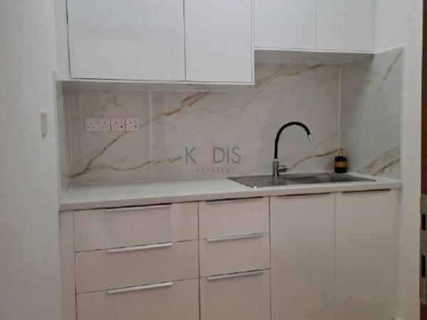 studio office for rent ypsonas limassol 8307209 image 14121307
