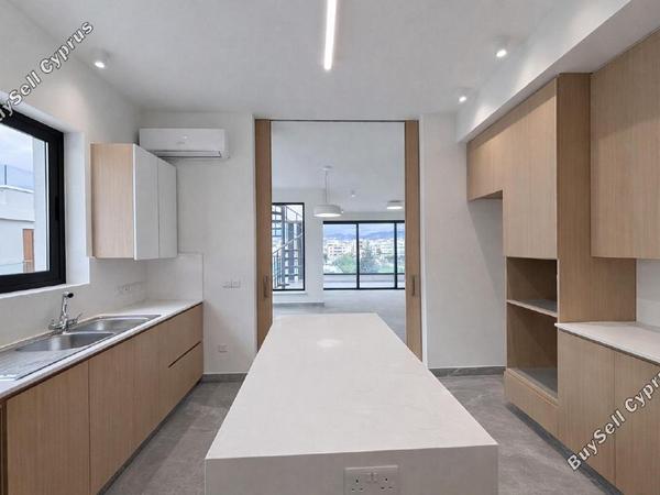 3 bedroom penthouse for sale neapolis limassol 8206309 image 15125943