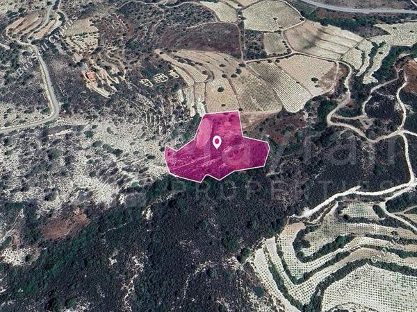 land for sale agios mamas limassol 7872309 image 14116082