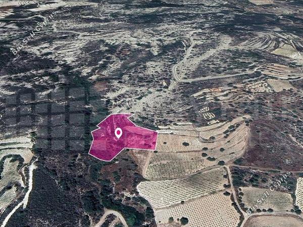 land for sale agios mamas limassol 7872309 image 14116083