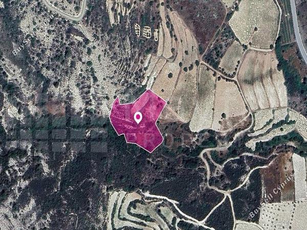 land for sale agios mamas limassol 7872309 image 14116084