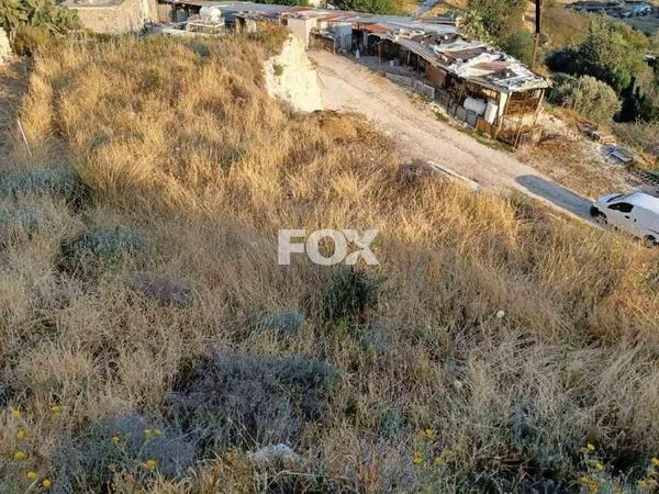 land for sale nata paphos 1357309 image 10035157