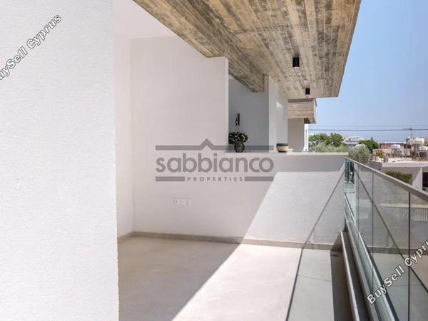 3 bedroom apartment for sale paphos municipality paphos 8743409 image 16412680