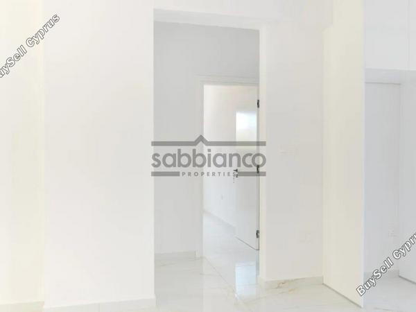 3 bedroom apartment for sale paphos municipality paphos 8743409 image 16412681