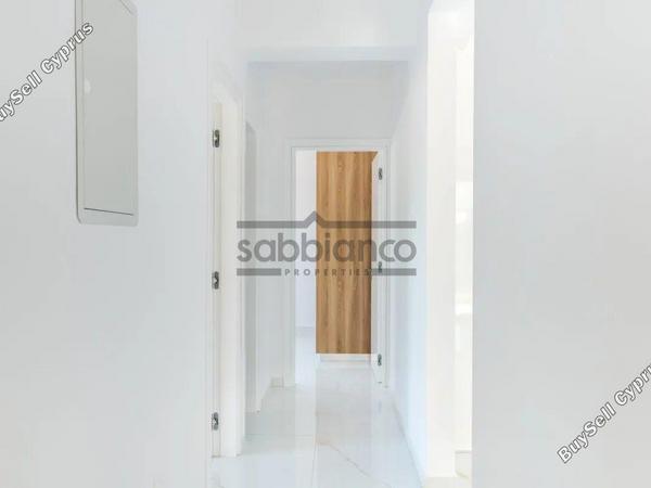3 bedroom apartment for sale paphos municipality paphos 8743409 image 16412683