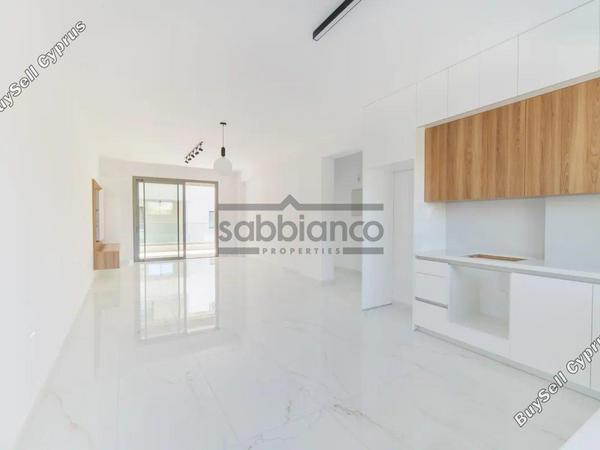 3 bedroom apartment for sale paphos municipality paphos 8743409 image 16412686