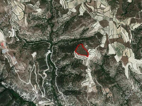 land for sale kallepeia paphos 828409 image 15177662