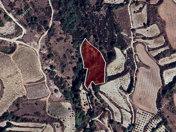 land for sale stroumbi paphos 1721409 image 15597150