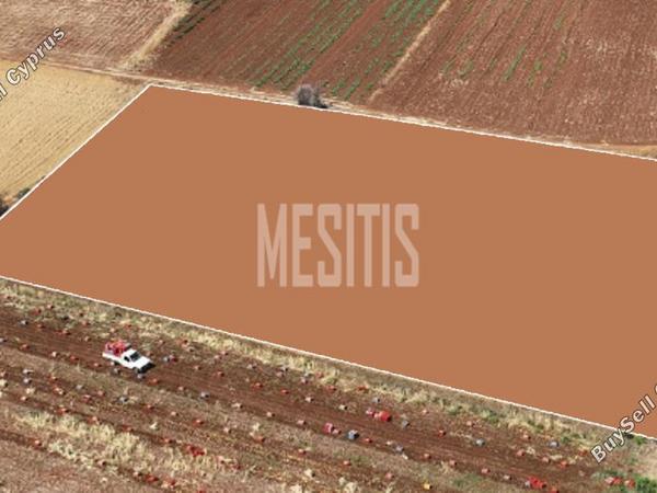 plot for sale peristerona lefkosias nicosia 8086409 image 13130643
