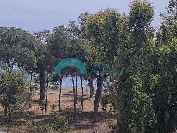 2 bedroom apartment for rent potamos germasogeias limassol 1880509 image 15948872