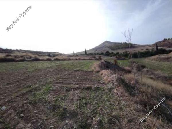 land for sale kato koutrafas nicosia 8554509 image 15554901