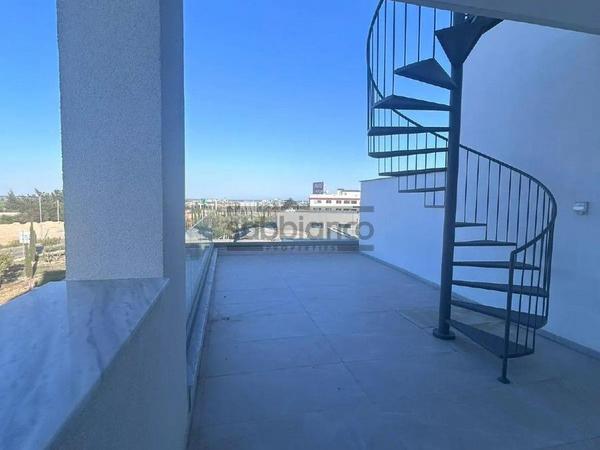 2 bedroom apartment for rent dromolaxia larnaca 8741609 image 16394391