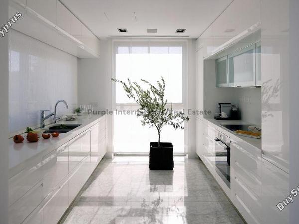 3 bedroom detached house for sale tsada paphos 7543609 image 16529122