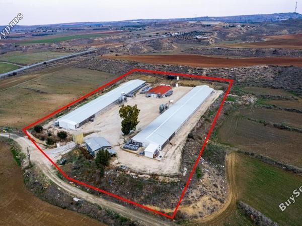 land for sale agios ioannis nicosias nicosia 1618609 image 5479961