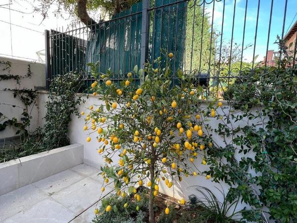 2 bedroom ground floor apartment for rent pyrgos limassol limassol 1571709 image 13793067