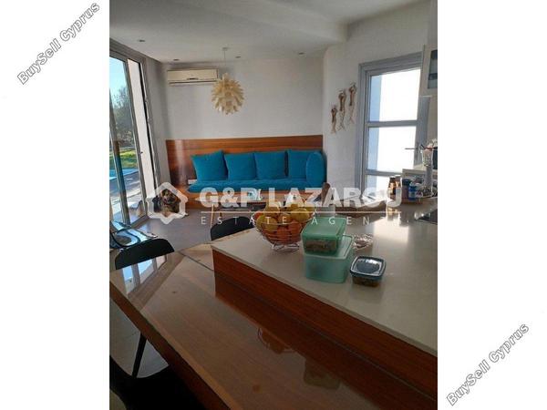 5 bedroom detached house for sale tseri nicosia 8214709 image 13716715