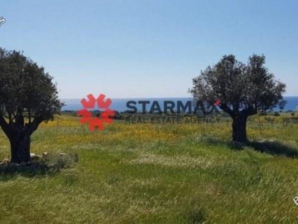 land for sale agios theodoros larnacas larnaca 1306709 image 6314775