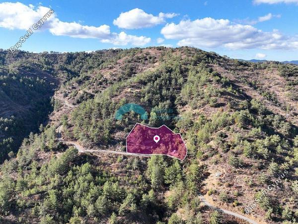 land for sale kalopanagiotis nicosia 8607709 image 15777382